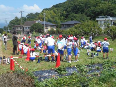 DSCN3982