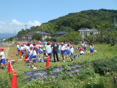 DSCN3983