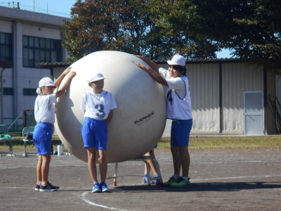DSCN6566