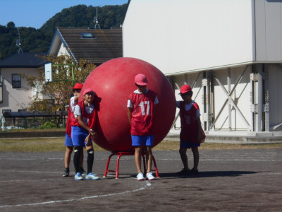 DSCN6568